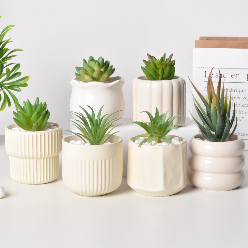 Ceramic Self-Watering Succulen - Echeveria Succulent ulasan dan harga