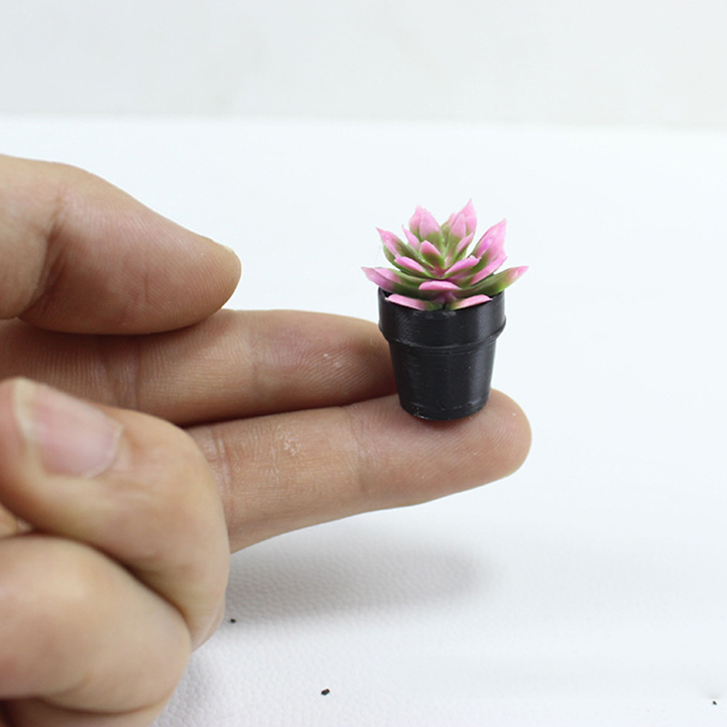 8Pcs Miniature Plastic Potted  - Echeveria Succulent ulasan dan harga